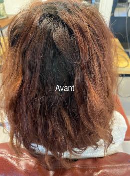 Avant